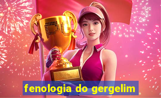 fenologia do gergelim